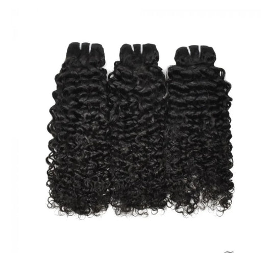 Burmese Curly 3 Bundle Deal
